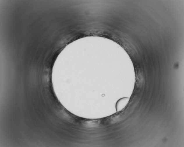 X0000116430232201001191517