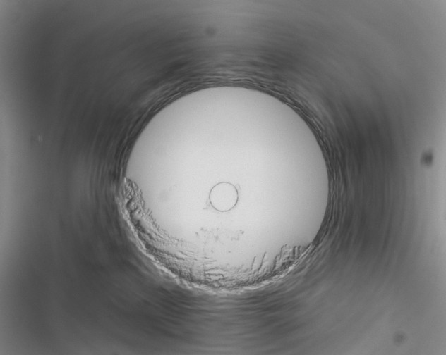 X0000116430233201001191517