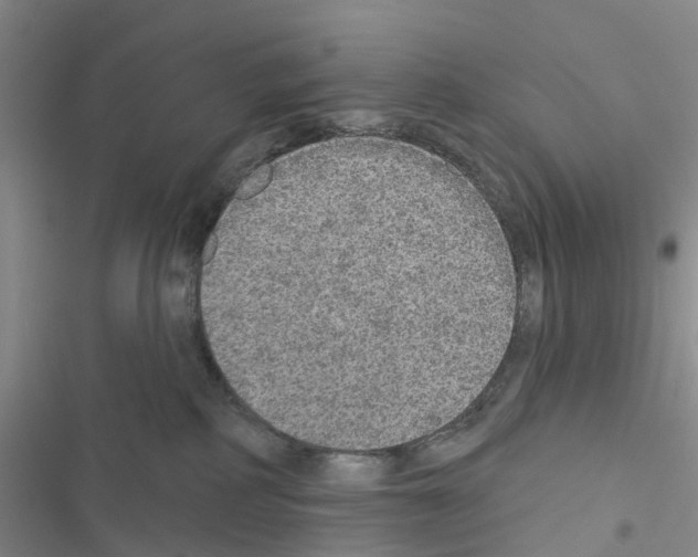 X0000116430234201001191517