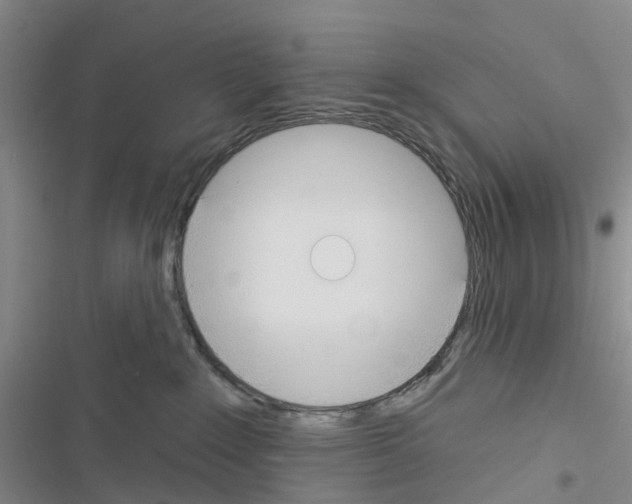 X0000116430235201001191517