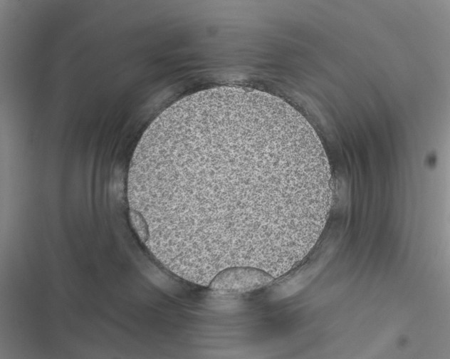 X0000116430238201001191517