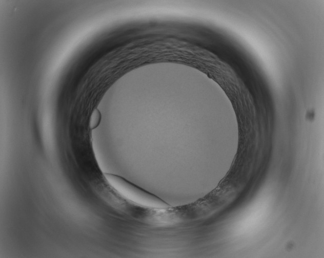 X0000116430239201001191517