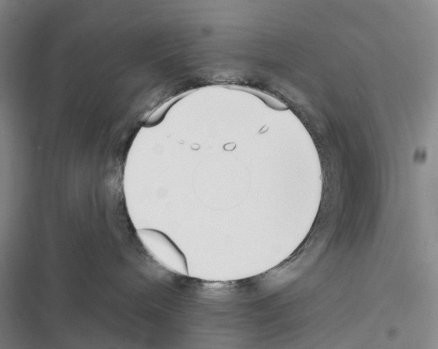 X0000116430240201001191517