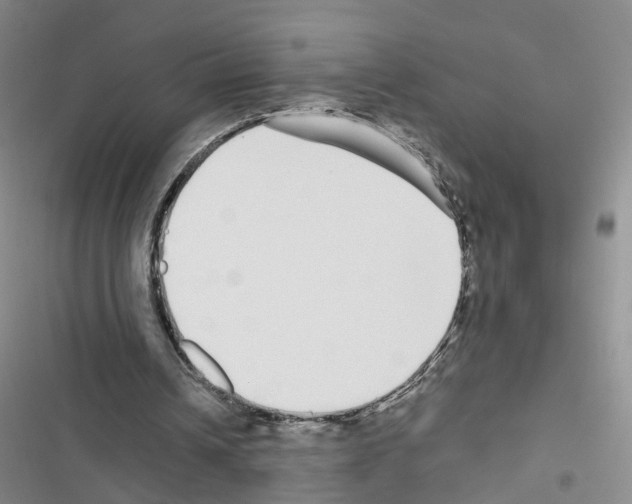 X0000116430242201001191517