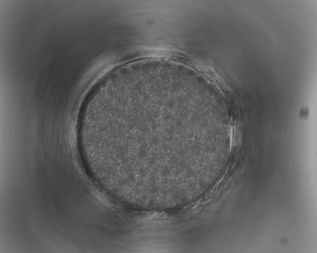 X0000116430243201001191517