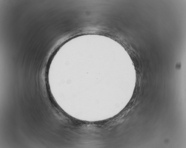 X0000116430244201001191517