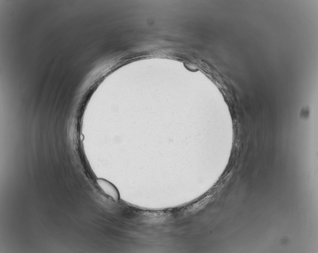 X0000116430245201001191517