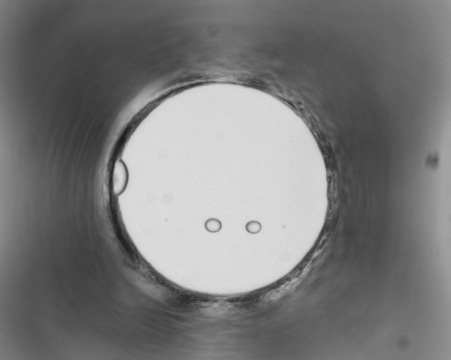 X0000116430246201001191517