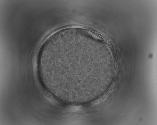 X0000116430247201001191517