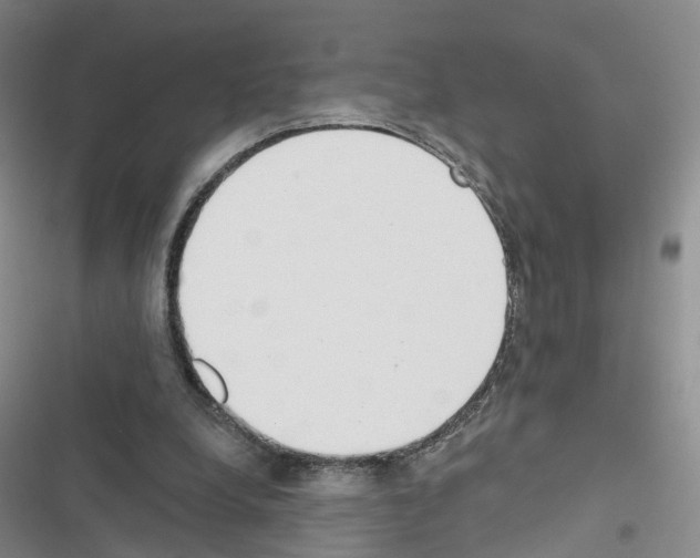 X0000116430248201001191517