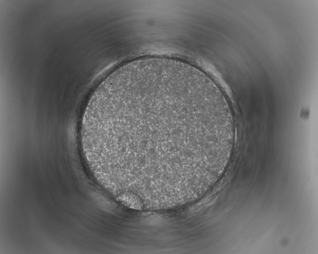X0000116430249201001191517