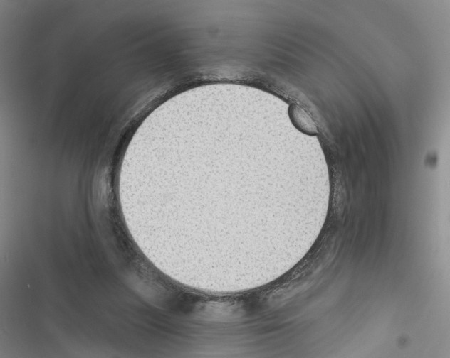 X0000116430251201001191517