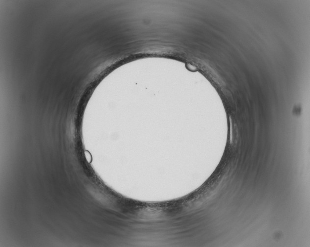 X0000116430252201001191517