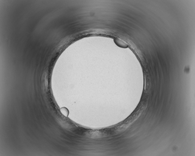 X0000116430253201001191517