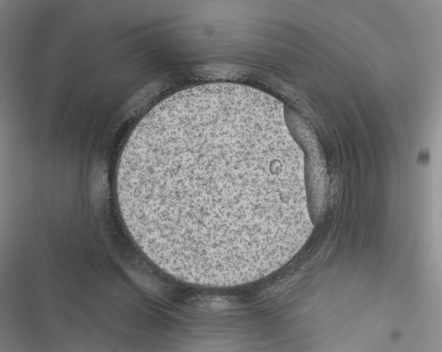 X0000116430254201001191517