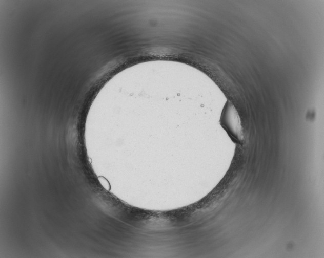 X0000116430256201001191517