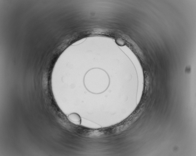 X0000116430257201001191517