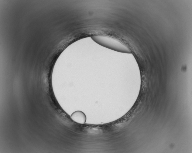 X0000116430258201001191517