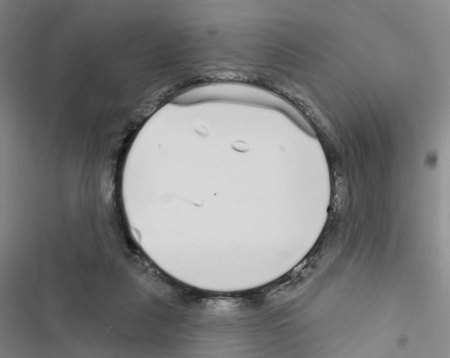 X0000116430259201001191517