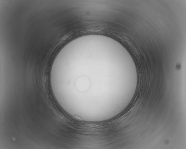 X0000116430260201001191517
