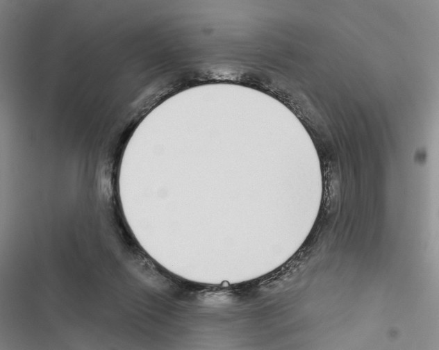 X0000116430262201001191517