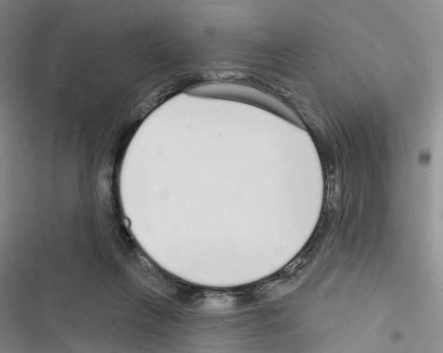 X0000116430263201001191517