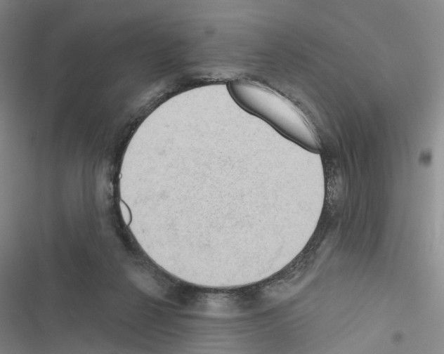 X0000116430264201001191517