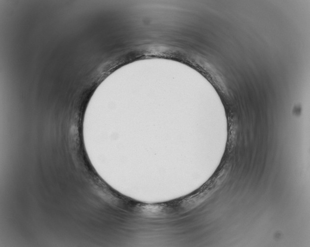 X0000116430265201001191517