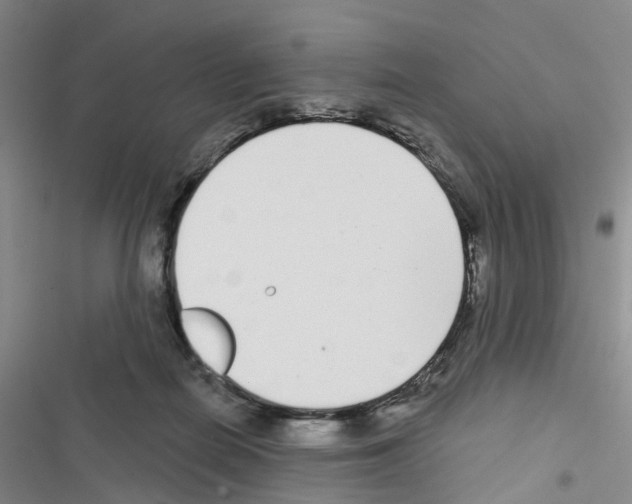 X0000116430266201001191517