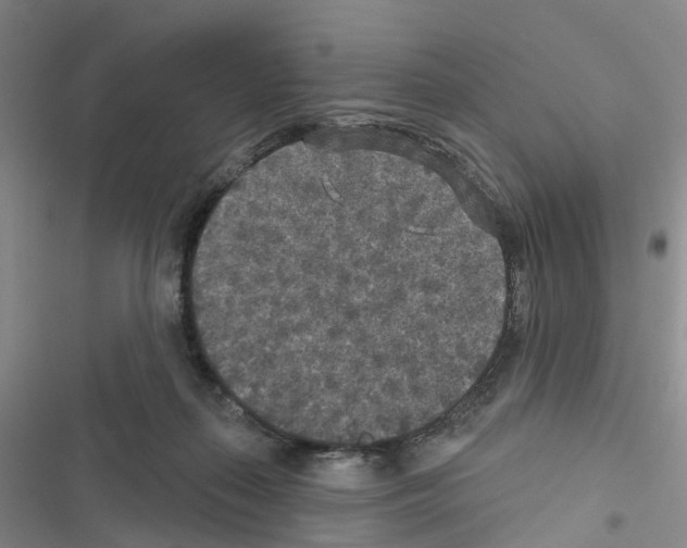 X0000116430267201001191517