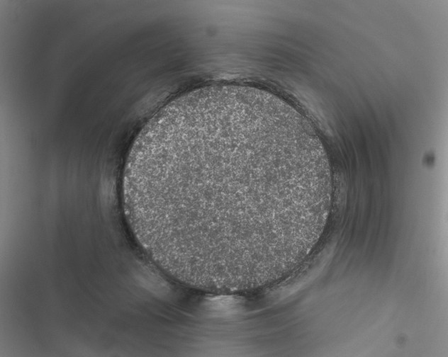 X0000116430269201001191517