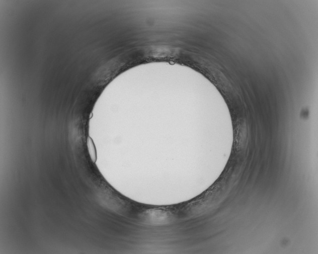X0000116430272201001191517