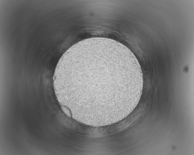 X0000116430273201001191517