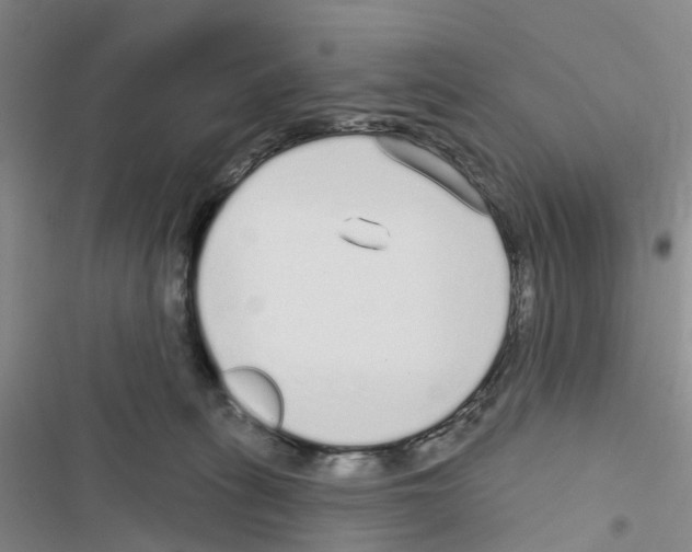 X0000116430275201001191517