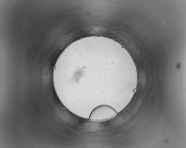 X0000116430276201001191517