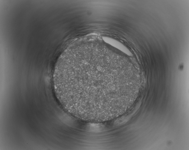 X0000116430277201001191517