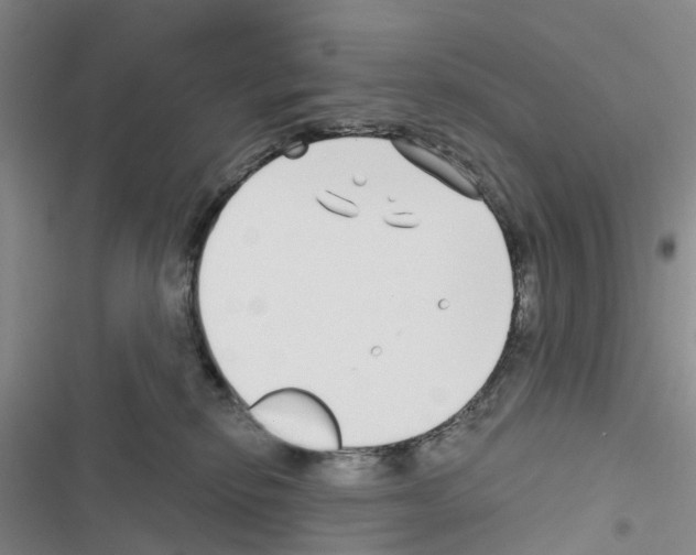 X0000116430278201001191517