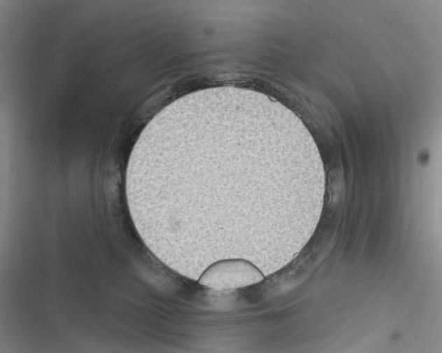 X0000116430279201001191517
