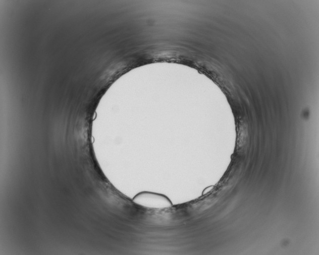 X0000116430282201001191517