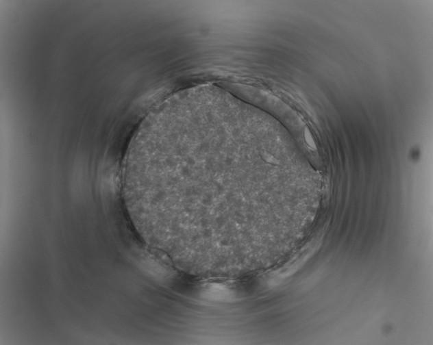 X0000116430285201001191517