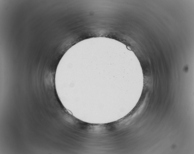 X0000116430286201001191517