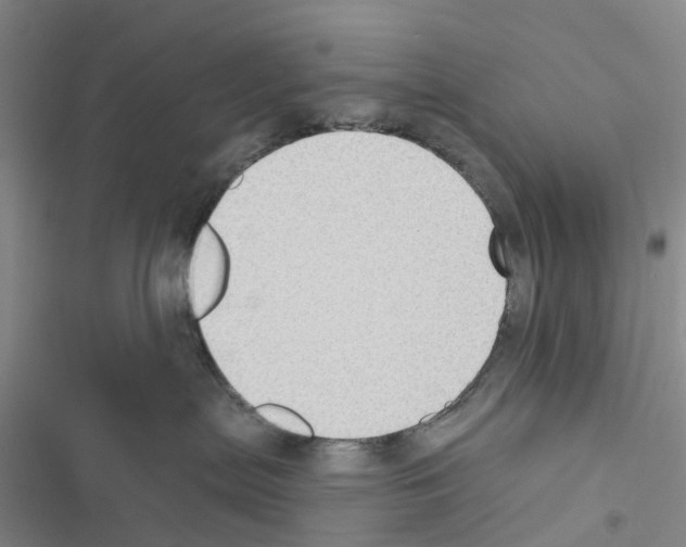 X0000116430287201001191517