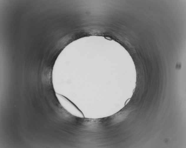 X0000116430288201001191517