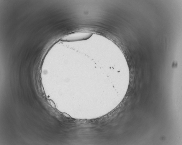 X0000116430289201001191517