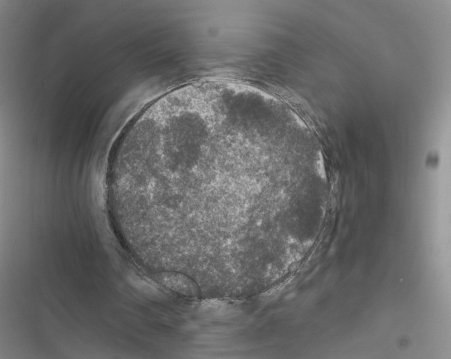 X0000116430290201001191517