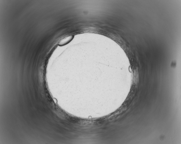 X0000116430291201001191517