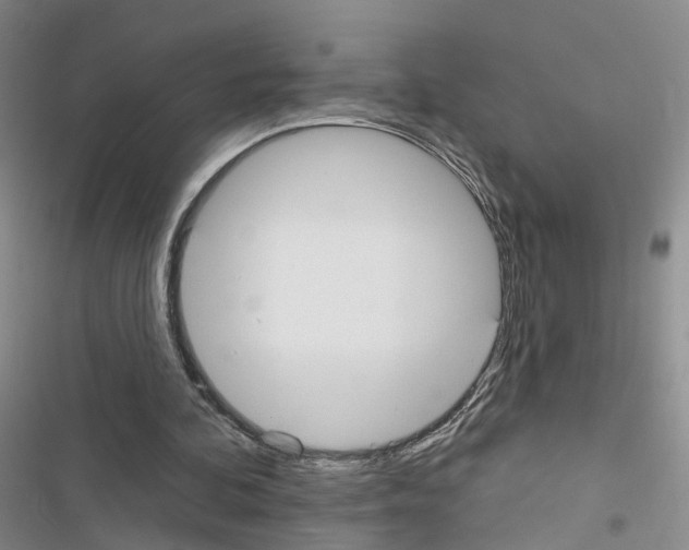 X0000116430292201001191516