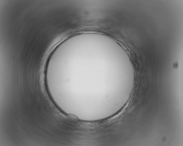 X0000116430293201001191516