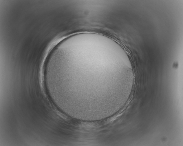 X0000116430294201001191516