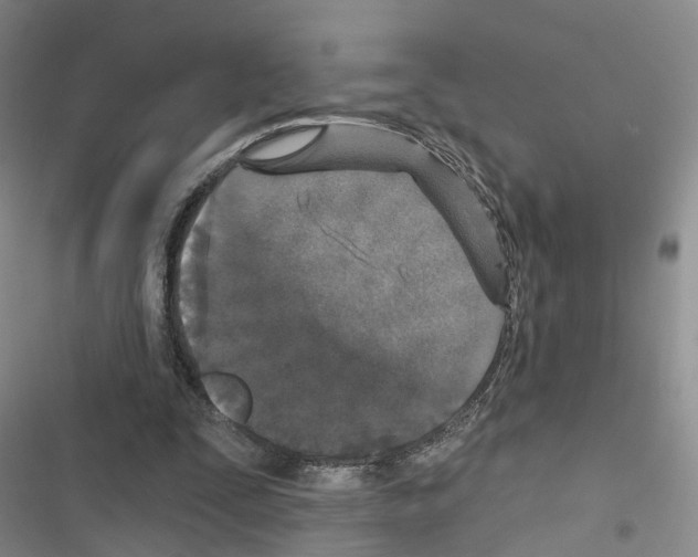 X0000116430295201001191516